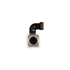 Камера основная iPhone 8, Original (China)