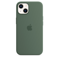 Чехол Silicone Case 1:1 for iPhone 13 Pro Max with MagSafe animation eucaliptus